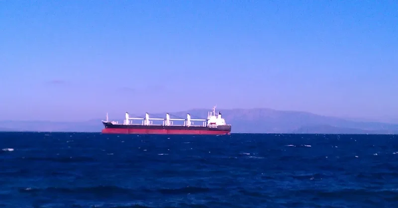 SAISABAN Bulk Carrier IMO 8604369 photo 4