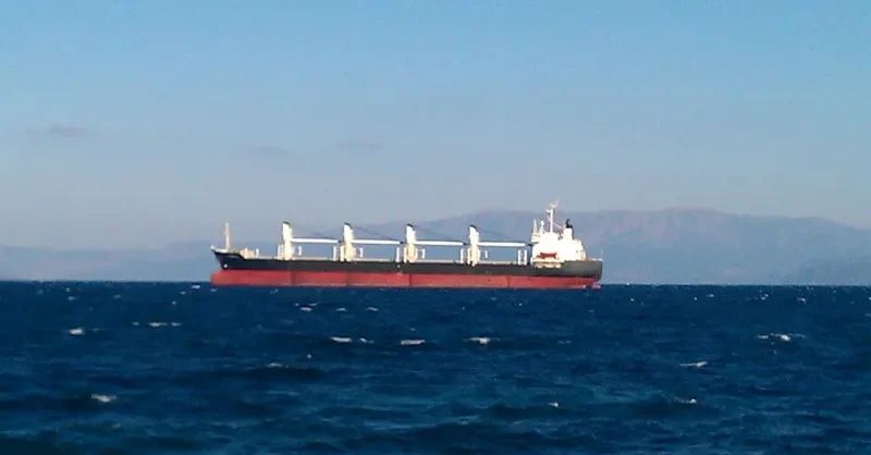 SAISABAN Bulk Carrier IMO 8604369 photo 5