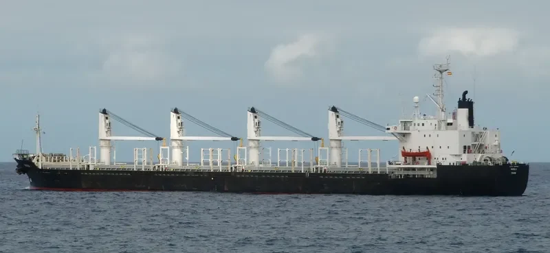 SAISABAN Bulk Carrier IMO 8604369 photo 7