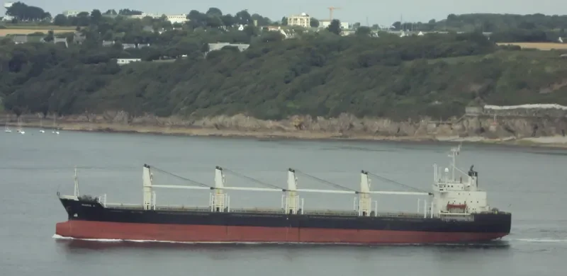 SAISABAN Bulk Carrier IMO 8604369 photo 8