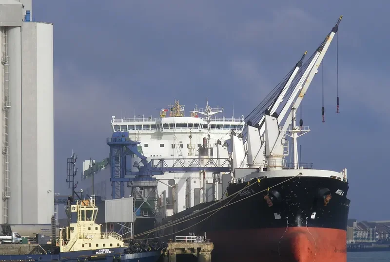 SAISABAN Bulk Carrier IMO 8604369 photo 10