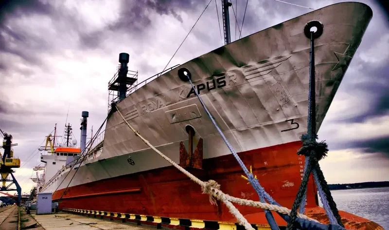 SPRING BAY General Cargo IMO 8604606 photo 4