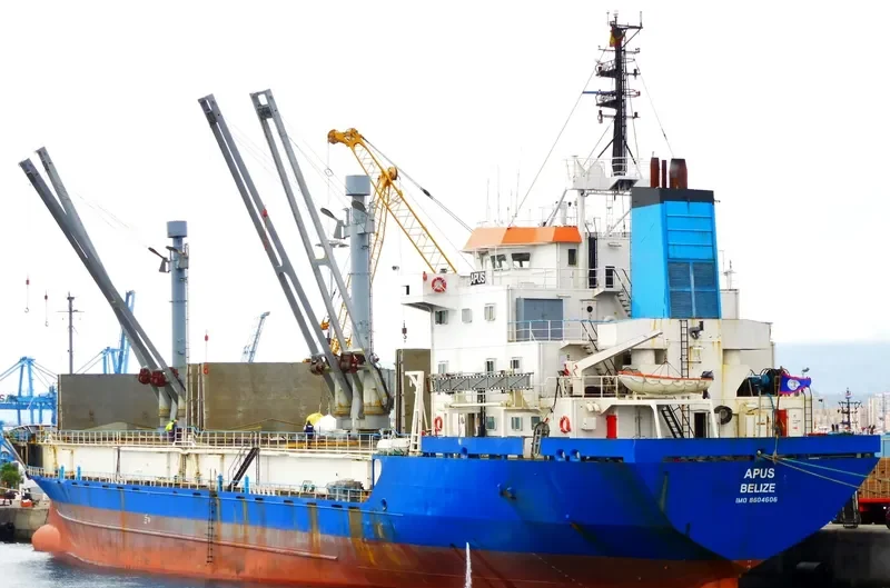 SPRING BAY General Cargo IMO 8604606 photo 5
