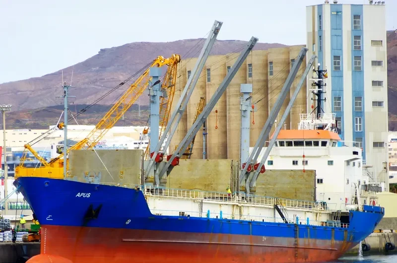 SPRING BAY General Cargo IMO 8604606 photo 6