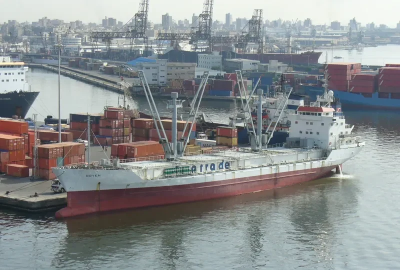 SPRING BAY General Cargo IMO 8604606 photo 7