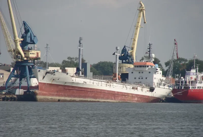 SPRING BAY General Cargo IMO 8604606 photo 9