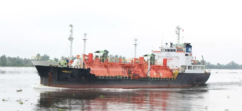 AMELIA 2 General Cargo IMO 8605090 photo 2