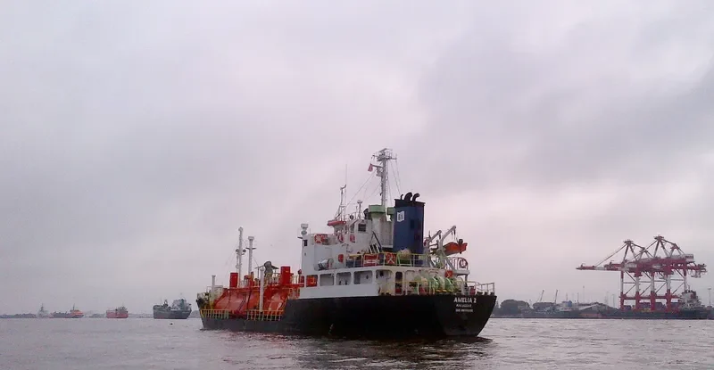 AMELIA 2 General Cargo IMO 8605090 photo 3