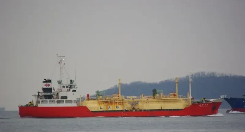 AMELIA 2 General Cargo IMO 8605090 photo 8