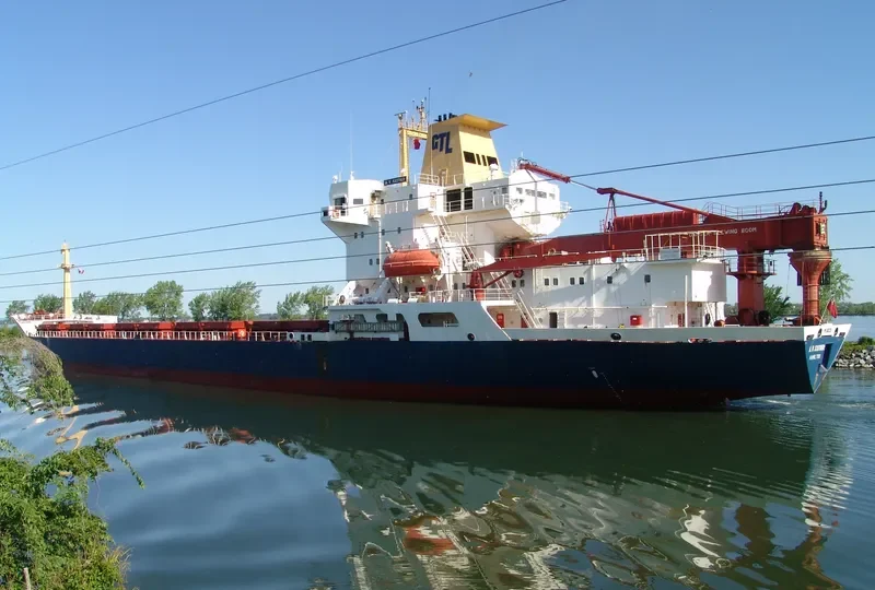 SILICA II Bulk Carrier IMO 8605208 photo 2