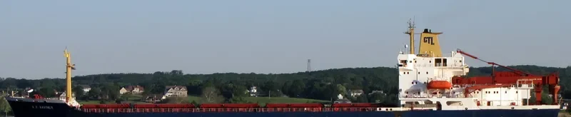 SILICA II Bulk Carrier IMO 8605208 photo 3