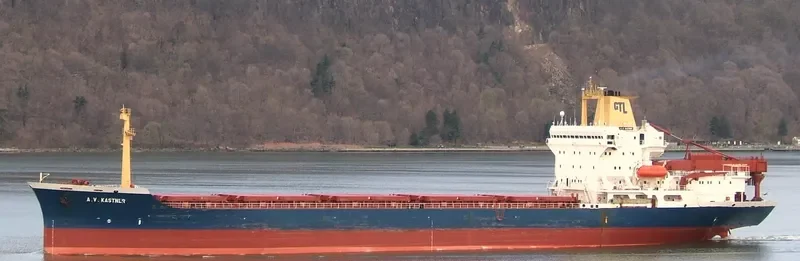 SILICA II Bulk Carrier IMO 8605208 photo 4
