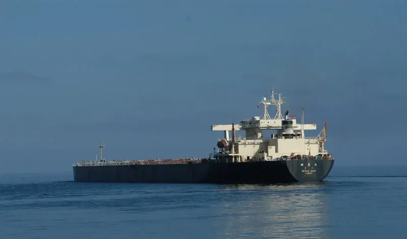 NIITAK Bulk Carrier IMO 8606159
