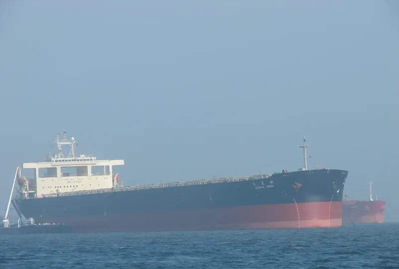 NIITAK Bulk Carrier IMO 8606159 photo 5