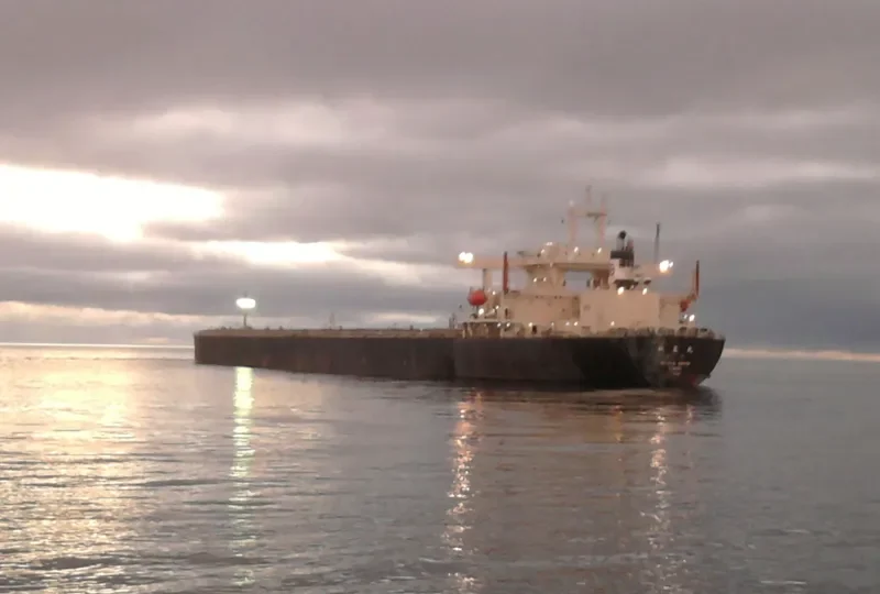 NIITAK Bulk Carrier IMO 8606159 photo 6