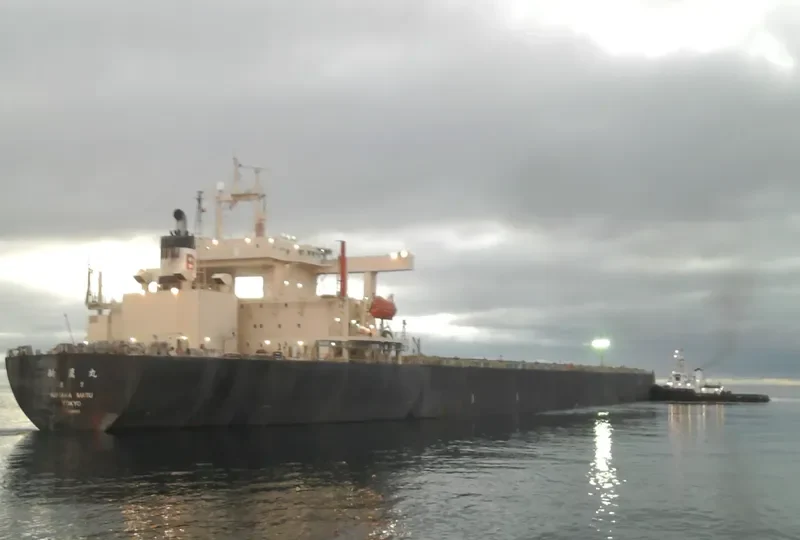 NIITAK Bulk Carrier IMO 8606159 photo 7