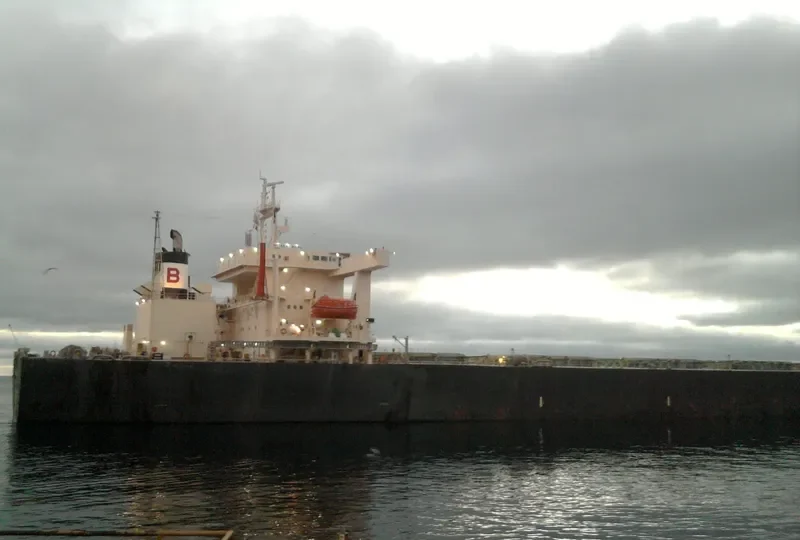 NIITAK Bulk Carrier IMO 8606159 photo 8