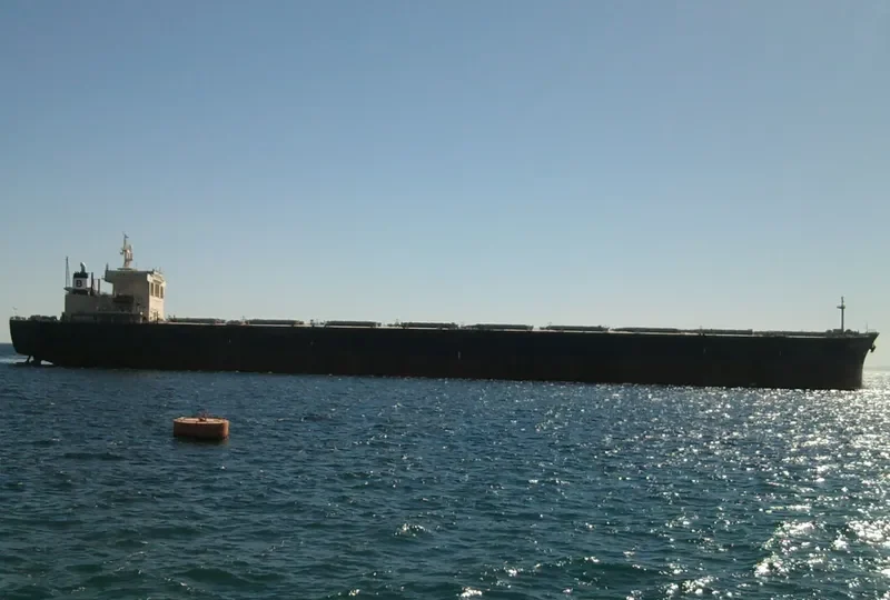 NIITAK Bulk Carrier IMO 8606159 photo 10