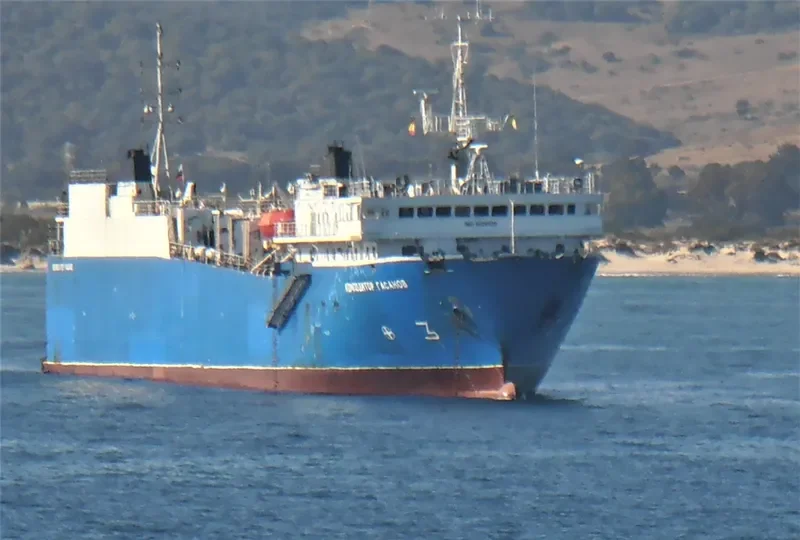 KOMPOZITOR GASANOV Ro-Ro IMO 8606628 photo 3