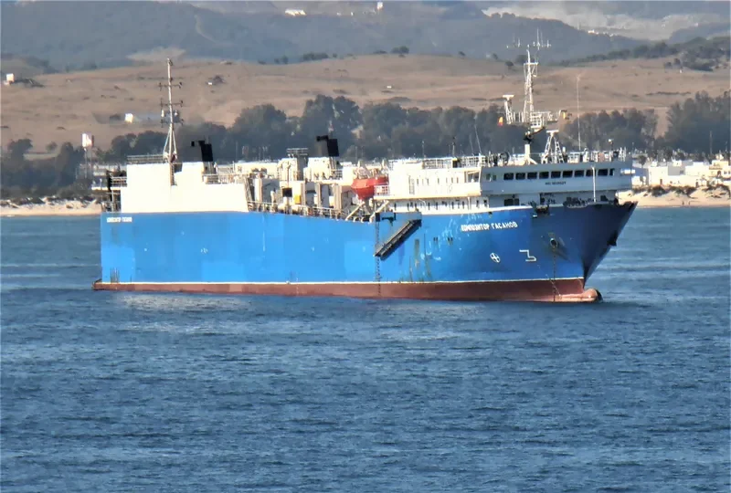 KOMPOZITOR GASANOV Ro-Ro IMO 8606628 photo 4