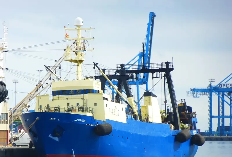 DZINTARS General Cargo IMO 8606680 photo 2