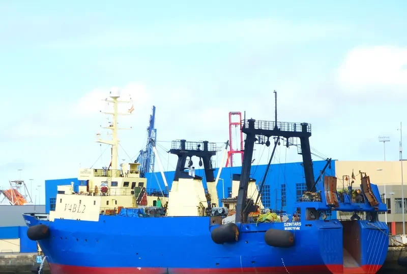 DZINTARS General Cargo IMO 8606680 photo 3