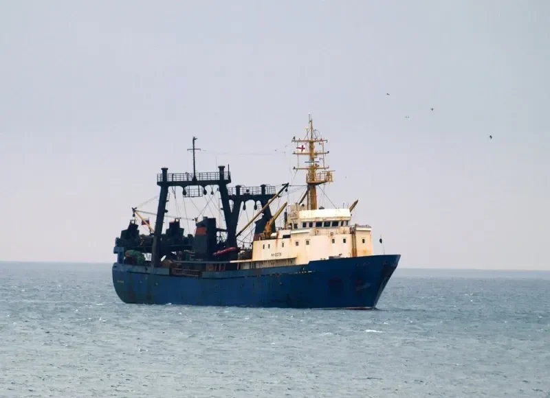 DZINTARS General Cargo IMO 8606680 photo 4