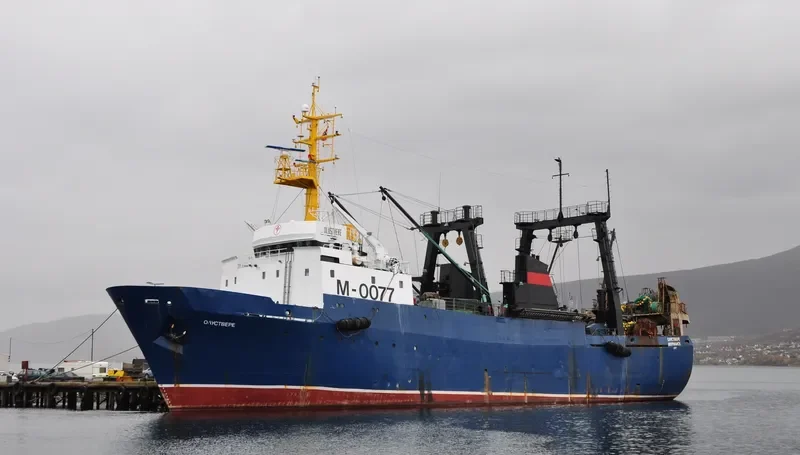 LAIMA General Cargo IMO 8606745 photo 89