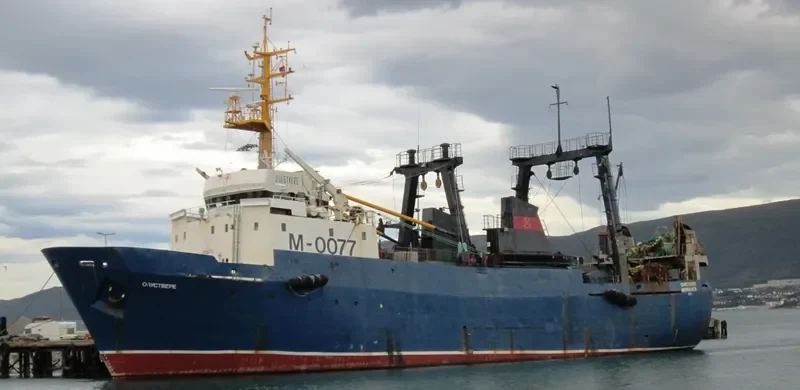 LAIMA General Cargo IMO 8606745 photo 111