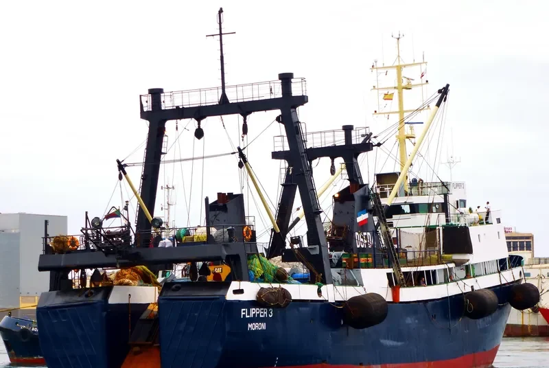 DORADO General Cargo IMO 8606941 photo 6