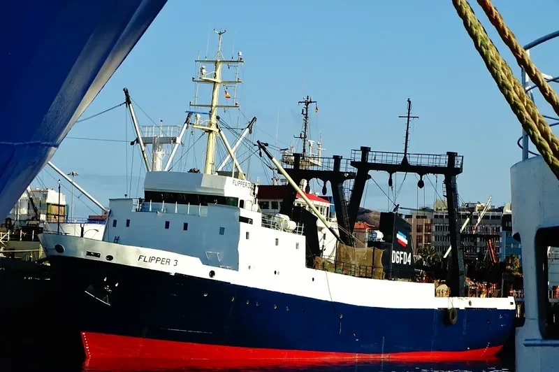 DORADO General Cargo IMO 8606941 photo 8