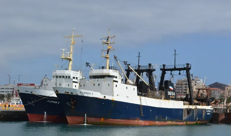 DORADO General Cargo IMO 8606941 photo 9