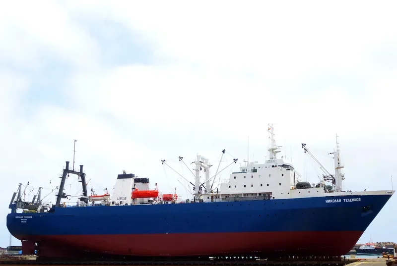 NIKOLAY TELENKOV General Cargo IMO 8607139 photo 7