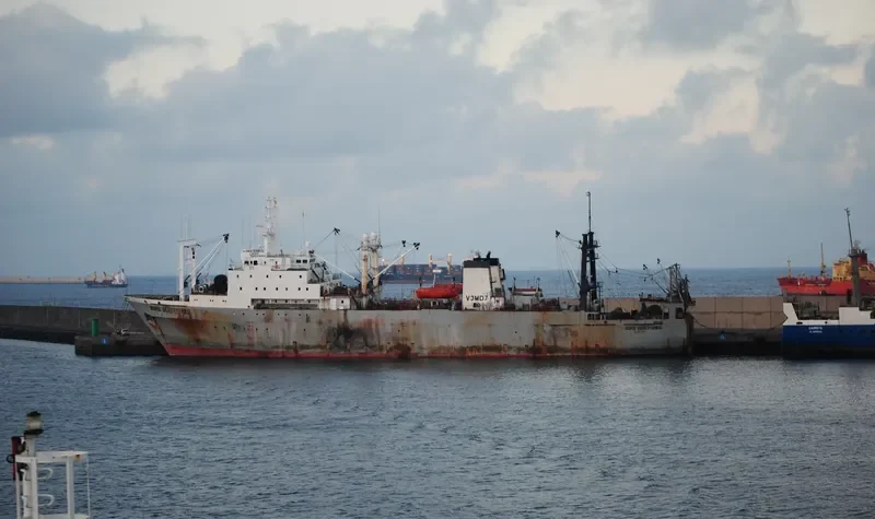 NIKOLAY TELENKOV General Cargo IMO 8607139 photo 10