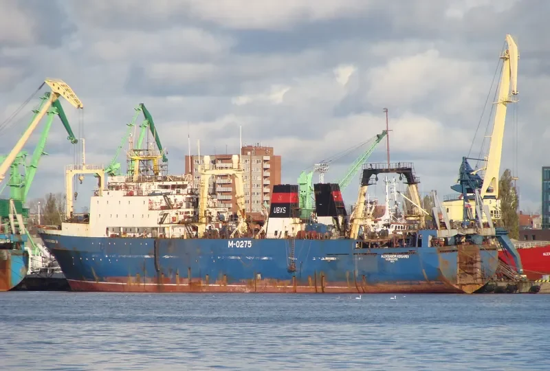 ALEKSANDR KOSAREV General Cargo IMO 8607153 photo 8