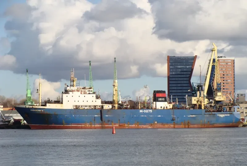 ALEKSANDR KOSAREV General Cargo IMO 8607153 photo 9