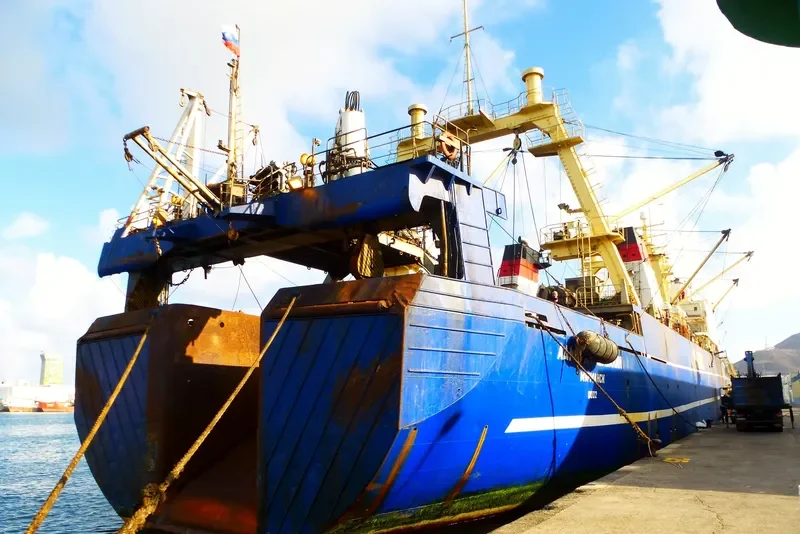 ADMIRAL SHABALIN General Cargo IMO 8607165 photo 3