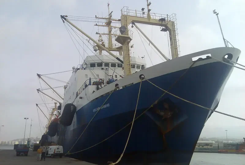 ALEKSANDR MIRONENKO General Cargo IMO 8607177