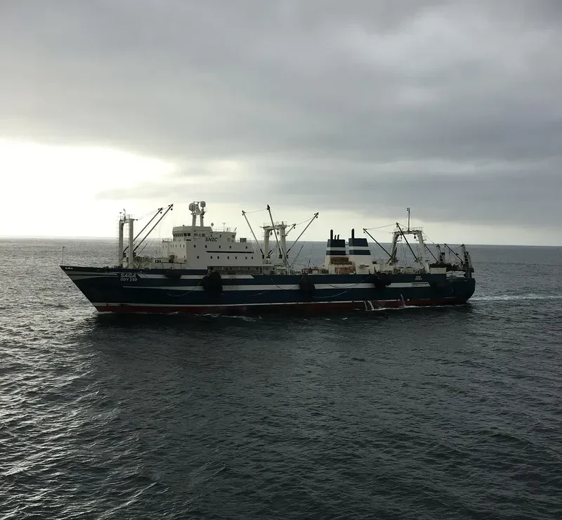 VASILIY FILIPPOV General Cargo IMO 8607191 photo 2