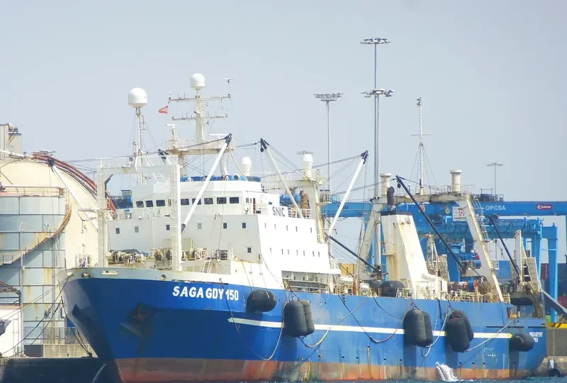 VASILIY FILIPPOV General Cargo IMO 8607191 photo 5