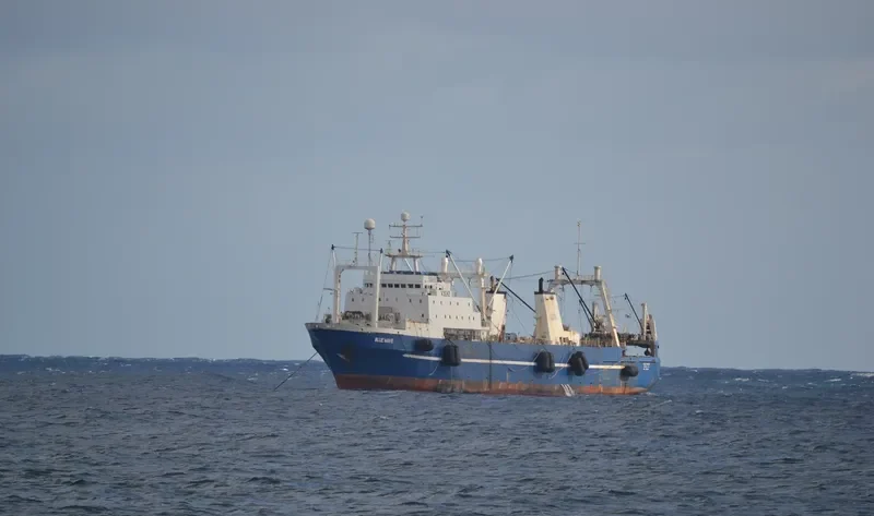 VASILIY FILIPPOV General Cargo IMO 8607191 photo 6