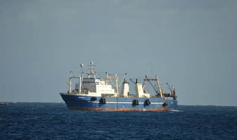 VASILIY FILIPPOV General Cargo IMO 8607191 photo 7