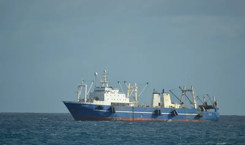 VASILIY FILIPPOV General Cargo IMO 8607191 photo 8