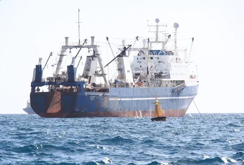 VASILIY FILIPPOV General Cargo IMO 8607191 photo 9