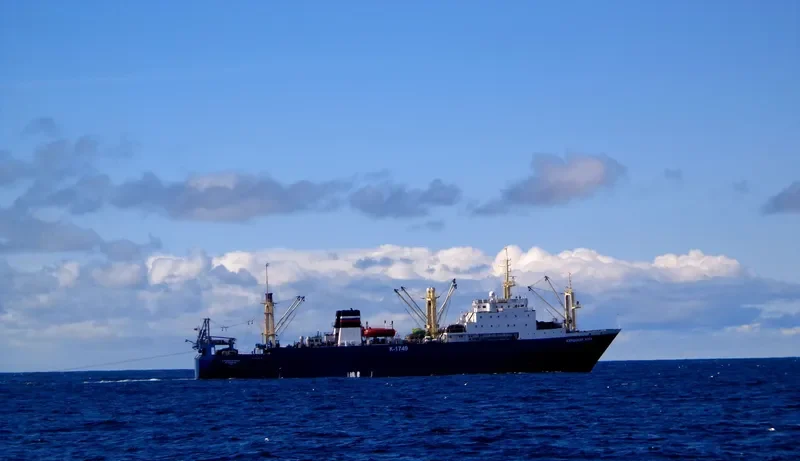 KURSHSKAYA KOSA General Cargo IMO 8607206 photo 4