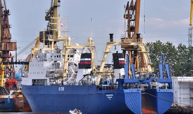 KURSHSKAYA KOSA General Cargo IMO 8607206 photo 5