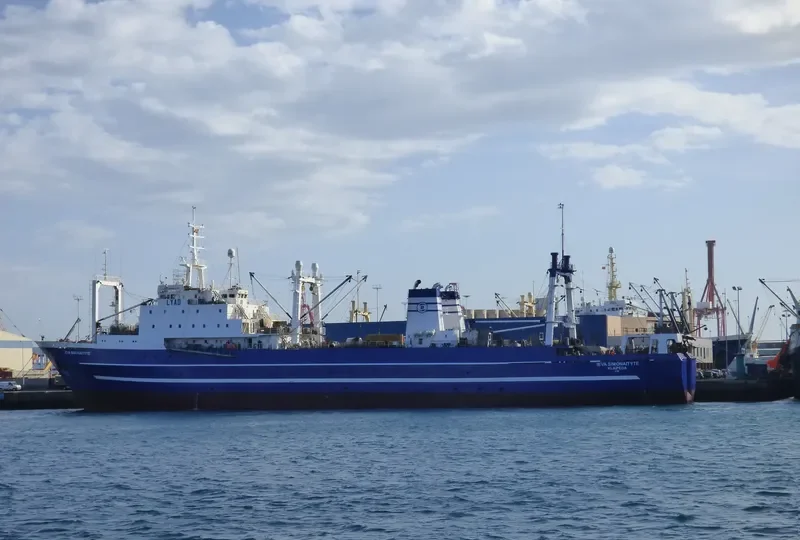 IEVA SIMONAITYTE General Cargo IMO 8607218 photo 2