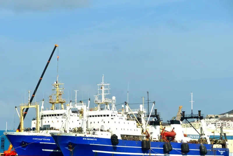 IEVA SIMONAITYTE General Cargo IMO 8607218 photo 3
