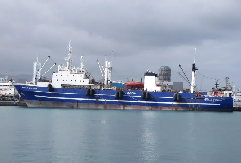 IEVA SIMONAITYTE General Cargo IMO 8607218 photo 6