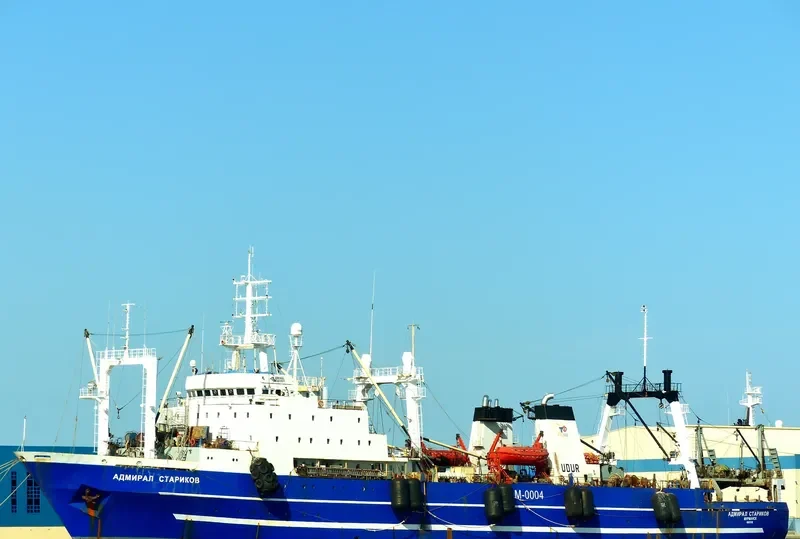 IEVA SIMONAITYTE General Cargo IMO 8607218 photo 7